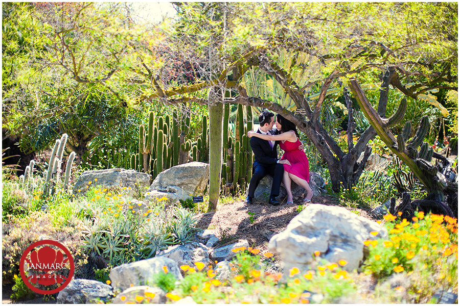 chris-and-lynn13 chris and lynn13 :: Chris and Lynn :: Engagement